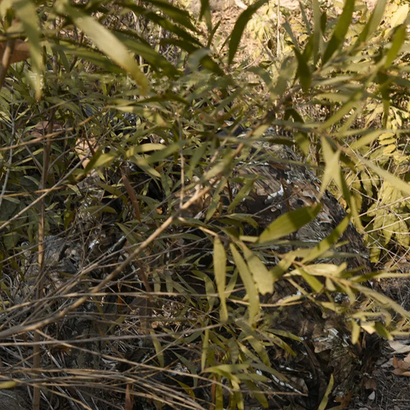 3D Leaves Camouflage Ghillie Suit Lightweight Camouflage Ghillie woodland Camoflage Sniper Airsoft Shooting Hunting Equipment